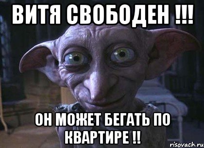 Витя свободен !!! Он может бегать по квартире !!