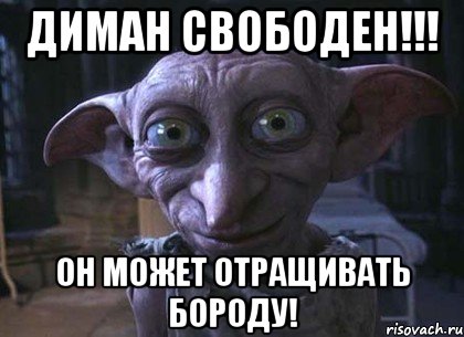 Диман свободен!!! Он может отращивать бороду!