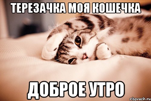 Терезачка моя кошечка доброе утро