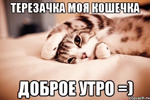 Терезачка моя кошечка доброе утро =)