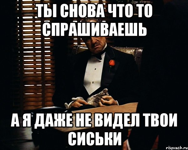 ты снова что то спрашиваешь а я даже не видел твои сиськи, Мем Дон Вито Корлеоне