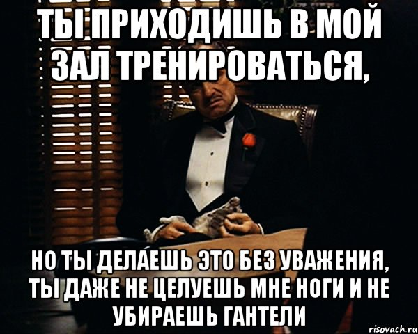 Ты приходишь в мой зал тренироваться, но ты делаешь это без уважения, ты даже не целуешь мне ноги и не убираешь гантели, Мем Дон Вито Корлеоне