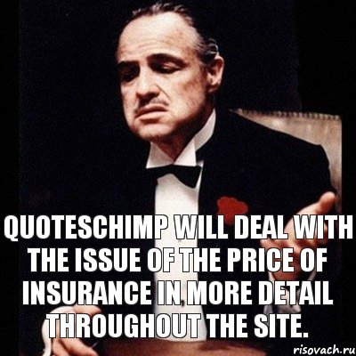 QuotesChimp will deal with the issue of the price of insurance in more detail throughout the site., Комикс Дон Вито Корлеоне 1