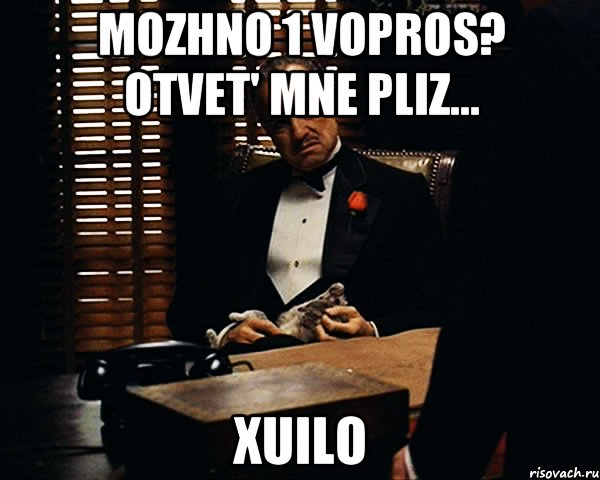 MOZHNO 1 VOPROS? OTVET' MNE PLIZ... XUILO, Мем Дон Вито Корлеоне