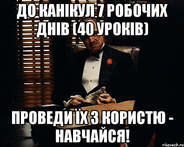 До канікул 7 робочих днів (40 уроків) Проведи їх з користю - навчайся!, Мем Дон Вито Корлеоне