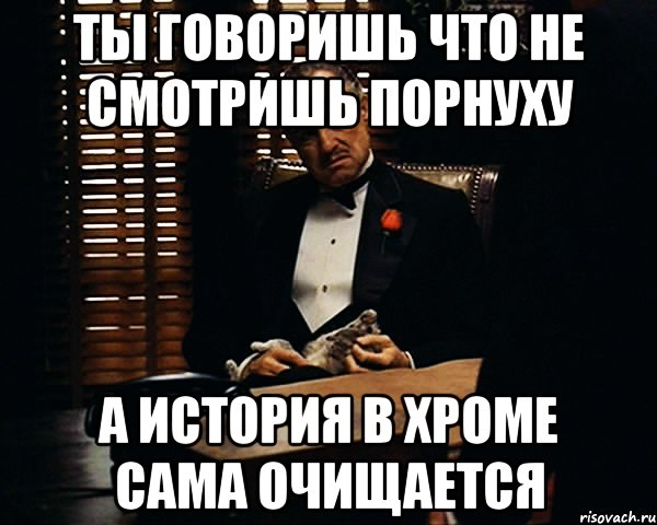 Ты говоришь что не смотришь порнуху А история в хроме сама очищается, Мем Дон Вито Корлеоне