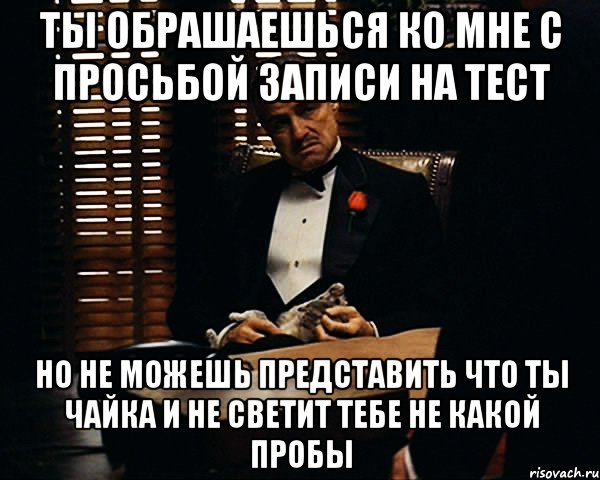 Ты обрашаешься ко мне С просьбой записи на тест Но не можешь представить Что ты чайка и не светит Тебе не какой пробы, Мем Дон Вито Корлеоне