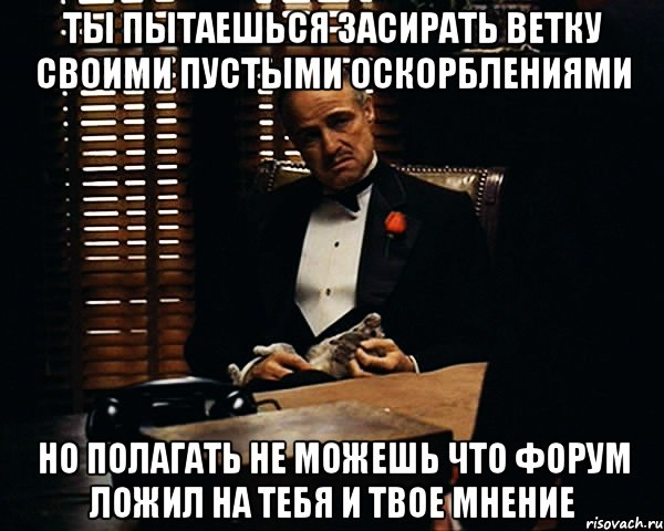 Ты пытаешься засирать ветку Своими пустыми оскорблениями Но полагать не можешь Что форум ложил на тебя и твое мнение, Мем Дон Вито Корлеоне