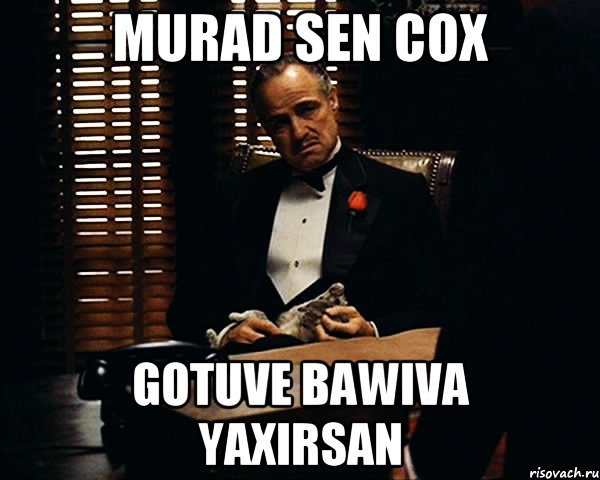 Murad sen cox Gotuve bawiva yaxirsan, Мем Дон Вито Корлеоне