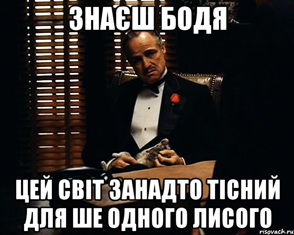 Знаєш Бодя цей світ занадто тісний для ше одного лисого, Мем Дон Вито Корлеоне