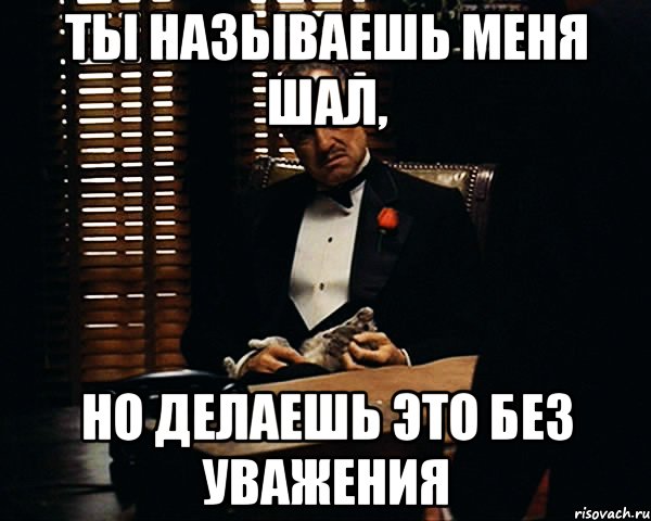 Ты называешь меня ШАЛ, но делаешь это без уважения, Мем Дон Вито Корлеоне