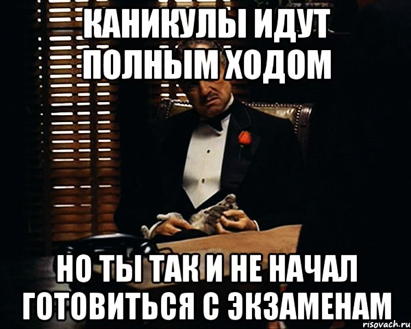 КАНИКУЛЫ ИДУТ ПОЛНЫМ ХОДОМ НО ТЫ ТАК И НЕ НАЧАЛ ГОТОВИТЬСЯ С ЭКЗАМЕНАМ, Мем Дон Вито Корлеоне