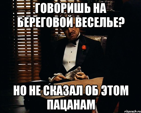 говоришь на береговой веселье? но не сказал об этом пацанам, Мем Дон Вито Корлеоне