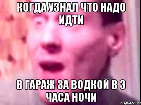 Когда узнал что надо идти в гараж за водкой в 3 часа ночи, Мем Дверь мне запили