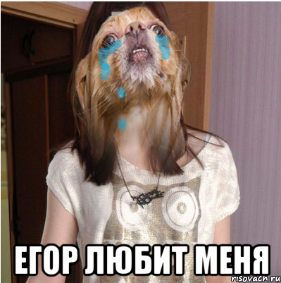  ЕГОР ЛЮБИТ МЕНЯ, Мем ЕГОР ЛЮБИТ МЕНЯ