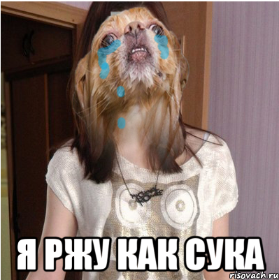  Я РЖУ КАК СУКА, Мем ЕГОР ЛЮБИТ МЕНЯ