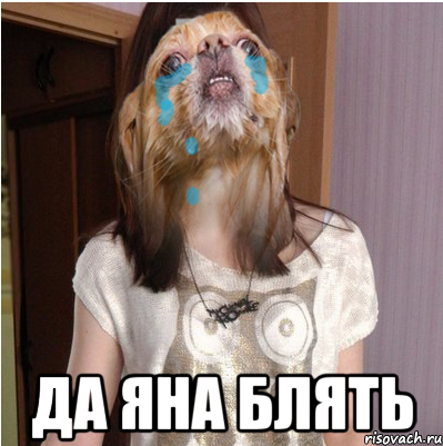  ДА ЯНА БЛЯТЬ, Мем ЕГОР ЛЮБИТ МЕНЯ
