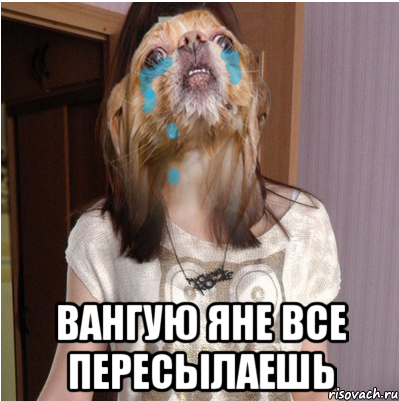  вангую яне все пересылаешь, Мем ЕГОР ЛЮБИТ МЕНЯ