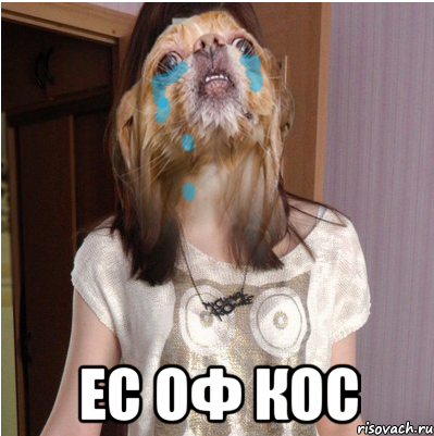  ЕС ОФ КОС, Мем ЕГОР ЛЮБИТ МЕНЯ