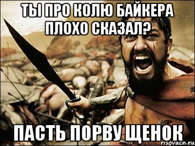 Ты про Колю Байкера плохо сказал? Пасть порву щенок, Мем Это Спарта