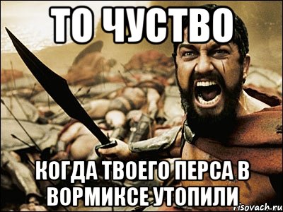 То чуство когда твоего перса в вормиксе утопили, Мем Это Спарта