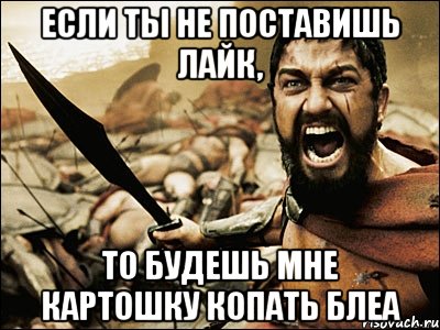 Если ты не поставишь лайк, то будешь мне картошку копать блеа, Мем Это Спарта