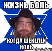 жизнь боль когда шекелей ноль, Мем Еврей советчик