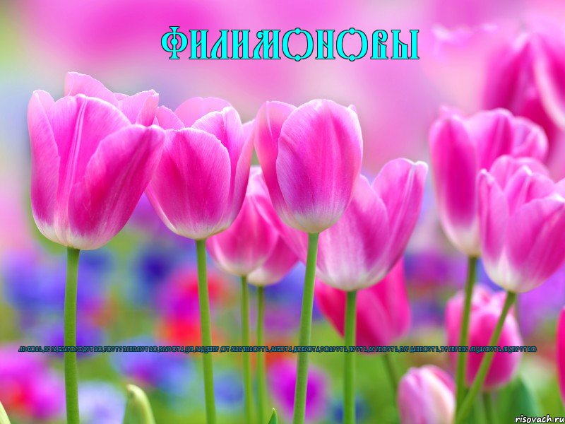 филимоновы любовь,вера,благородство,гостеприимство,красота,ум,радушие,отзывчивость,забота,доброта,совесть,честь,верность,преданность,терпение,мудрость,мужество., Комикс филимоновы
