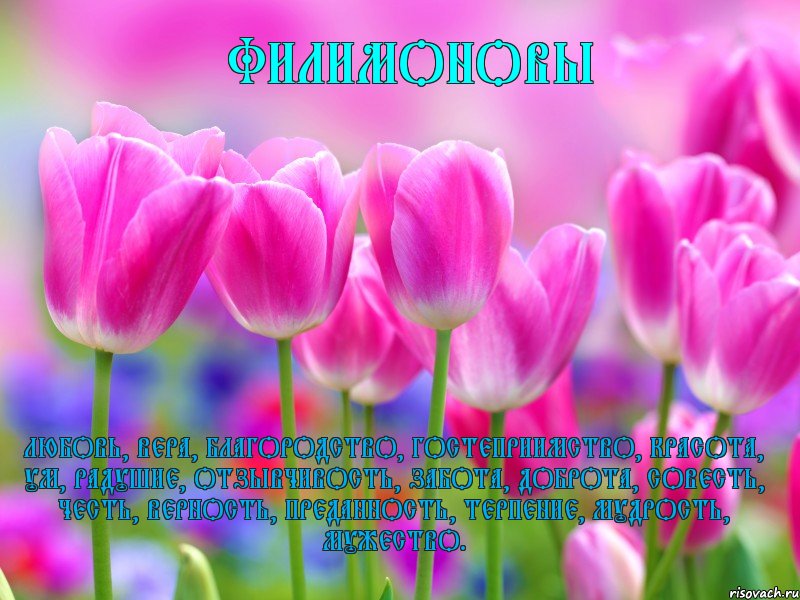 филимоновы любовь, вера, благородство, гостеприимство, красота, ум, радушие, отзывчивость, забота, доброта, совесть, честь, верность, преданность, терпение, мудрость, мужество., Комикс филимоновы