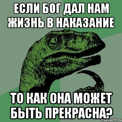 Если Бог дал нам жизнь в наказание то как она может быть прекрасна?, Мем Филосораптор