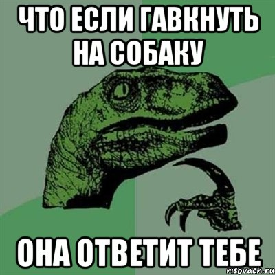 ЧТО ЕСЛИ ГАВКНУТЬ НА СОБАКУ она ответит тебе, Мем Филосораптор