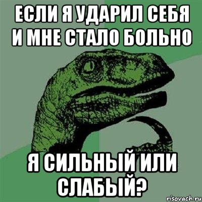 Если я ударил себя и мне стало больно Я сильный или слабый?, Мем Филосораптор