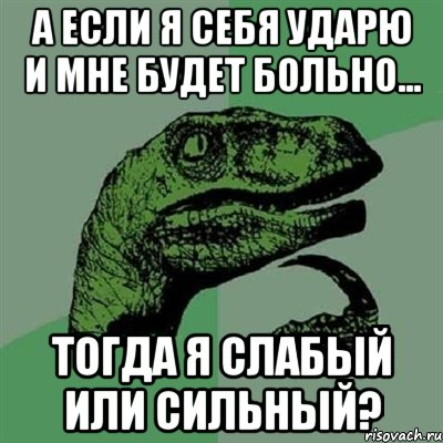 А если я себя ударю и мне будет больно... Тогда я слабый или сильный?, Мем Филосораптор