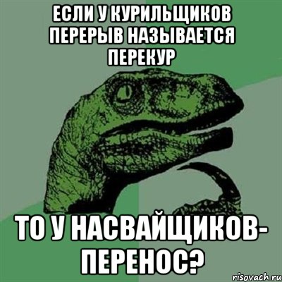 ЕСЛИ У КУРИЛЬЩИКОВ ПЕРЕРЫВ НАЗЫВАЕТСЯ ПЕРЕКУР ТО У НАСВАЙЩИКОВ- ПЕРЕНОС?, Мем Филосораптор