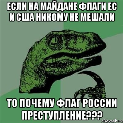 ЕСЛИ НА МАЙДАНЕ ФЛАГИ ЕС И США НИКОМУ НЕ МЕШАЛИ ТО ПОЧЕМУ ФЛАГ РОССИИ ПРЕСТУПЛЕНИЕ???, Мем Филосораптор