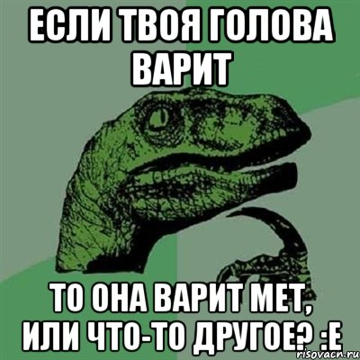 Если твоя голова варит то она варит мет, или что-то другое? :Е, Мем Филосораптор