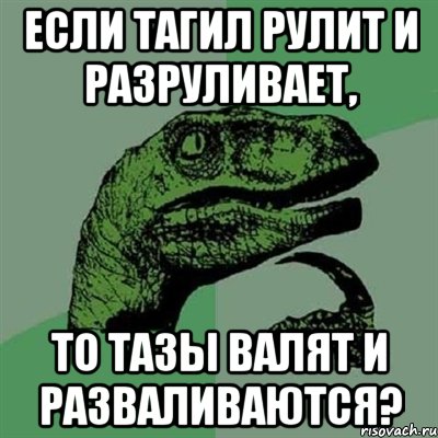 Если Тагил рулит и разруливает, То тазы валят и разваливаются?, Мем Филосораптор