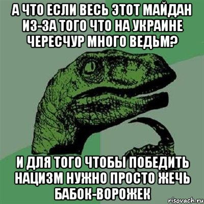 А что если весь этот майдан из-за того что на Украине чересчур много ведьм? И для того чтобы победить нацизм нужно просто жечь бабок-ворожек, Мем Филосораптор