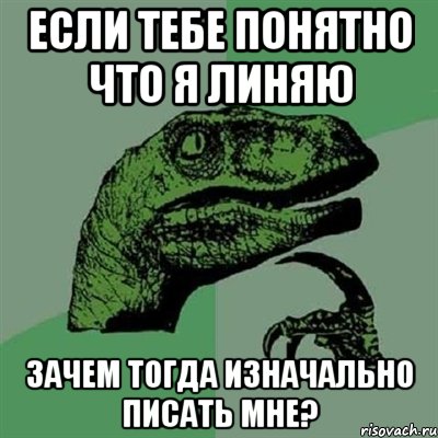 ЕСЛИ ТЕБЕ ПОНЯТНО ЧТО Я ЛИНЯЮ ЗАЧЕМ ТОГДА ИЗНАЧАЛЬНО ПИСАТЬ МНЕ?, Мем Филосораптор