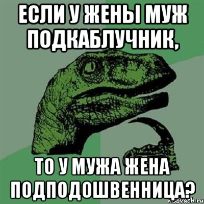 если у жены муж подкаблучник, то у мужа жена подподошвенница?, Мем Филосораптор