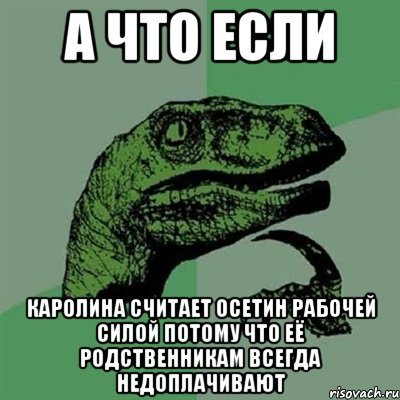 А ЧТО ЕСЛИ КАРОЛИНА СЧИТАЕТ ОСЕТИН РАБОЧЕЙ СИЛОЙ ПОТОМУ ЧТО ЕЁ РОДСТВЕННИКАМ ВСЕГДА НЕДОПЛАЧИВАЮТ, Мем Филосораптор