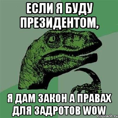 Если я буду президентом, Я дам закон а правах для задротов WoW, Мем Филосораптор