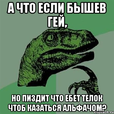 а что если бышев гей, но пиздит что ебет телок чтоб казаться альфачом?, Мем Филосораптор