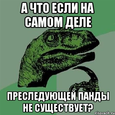 А что если на самом деле преследующей панды не существует?, Мем Филосораптор