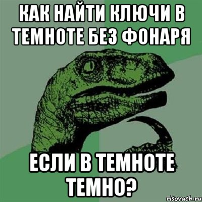 Как найти ключи в темноте без фонаря если в темноте темно?, Мем Филосораптор