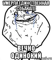 Умерла единственная собака((( Вечно одинокий, Мем Forever Alone