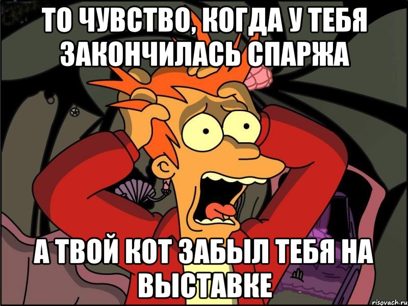 То чувство, когда у тебя закончилась спаржа а твой кот забыл тебя на выставке, Мем Фрай в панике