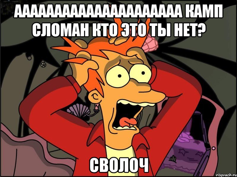 ааааааааааааааааааааа камп сломан кто это ты нет? сволоч, Мем Фрай в панике