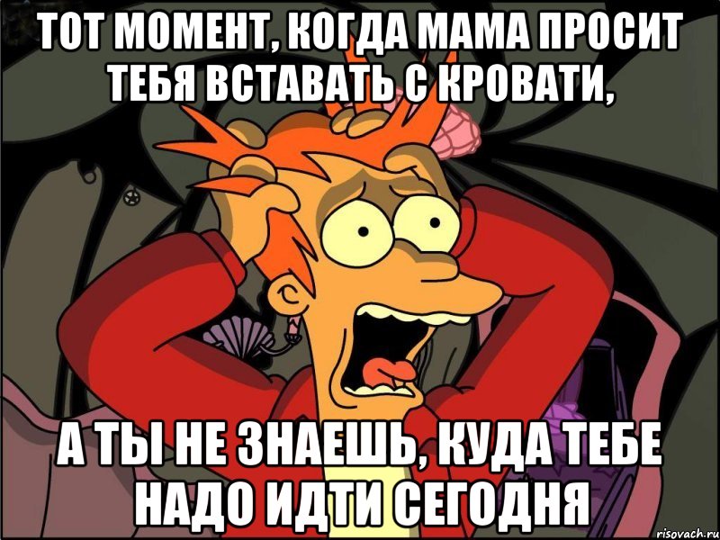 тот момент, когда мама просит тебя вставать с кровати, а ты не знаешь, куда тебе надо идти сегодня, Мем Фрай в панике