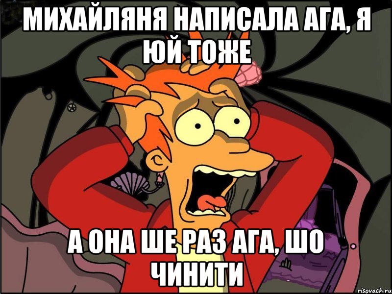 МИХАЙЛЯНЯ НАПИСАЛА АГА, Я ЮЙ ТОЖЕ А ОНА ШЕ РАЗ АГА, ШО ЧИНИТИ, Мем Фрай в панике